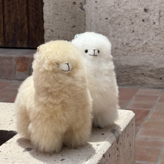 秘魯手工天然羊駝毛娃娃擺飾-漫步在花園