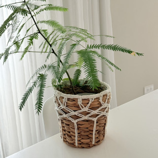 印尼手工貝殼海草編織花盆